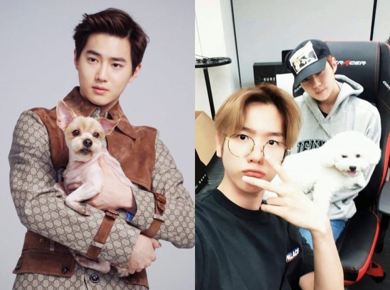 Hewan Peliharan Member EXO